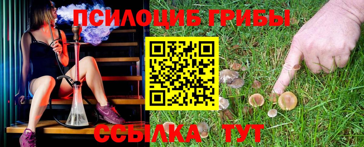Великий Устюг  Галлюциногенные грибы MAGIC MUSHROOMS  Вход с VPN 